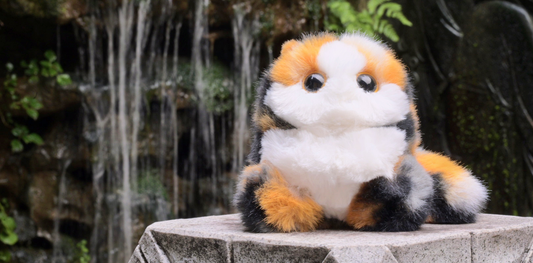 Why Your Anxiety Needs a Furry Fragrance Guru?