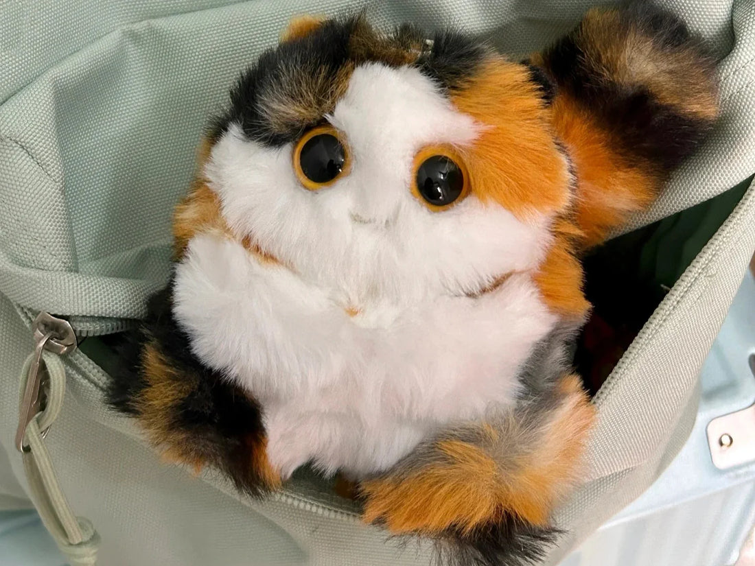 My ENTP Chaos Meets Its Match: A Gardenia & Sandalwood Plush That Survived My Life (And My Dog)