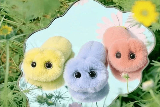 Spring Overture: Meet the New MINIFUFU Collection – 3 Colors, 3 Scents, 1 Little Healer